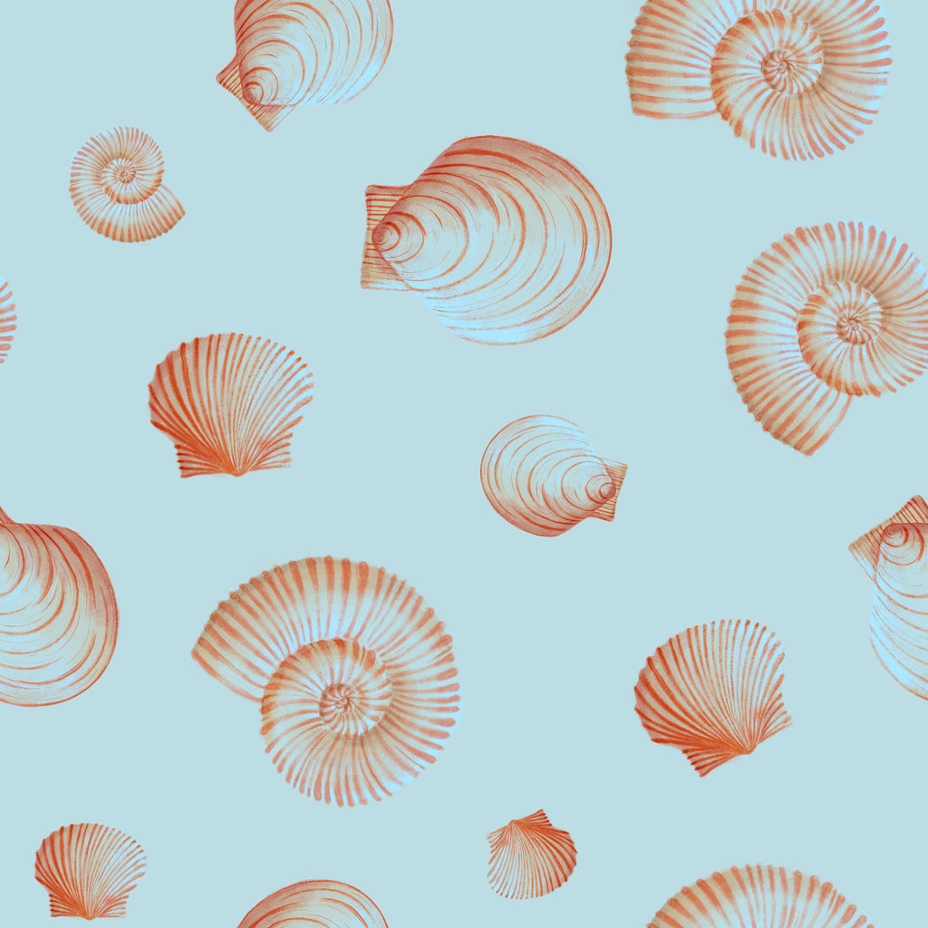 Coastal Shells, peel and stick wallpaper, elegant seashell illustrations drift across a soft ocean-toned background
