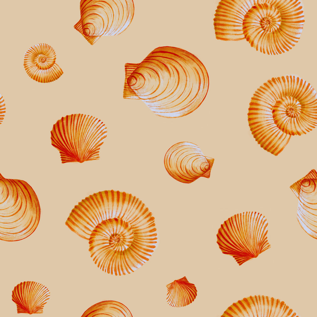 Golden Shells, peel and stick wallpaper, warm-toned seashell illustrations scatter across a sandy background