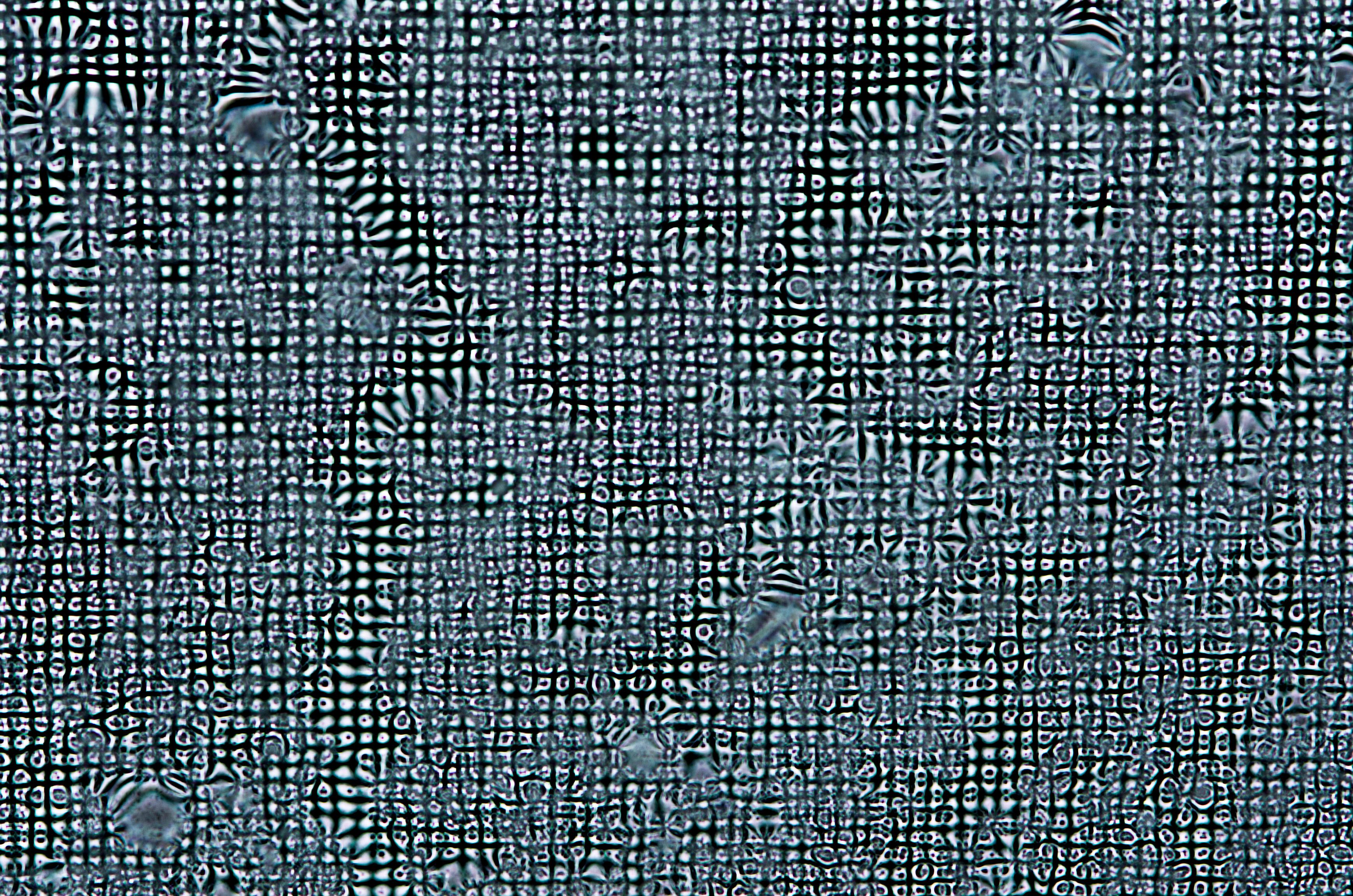 Peacock Bead Wallpaper