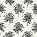 Palm Sketch