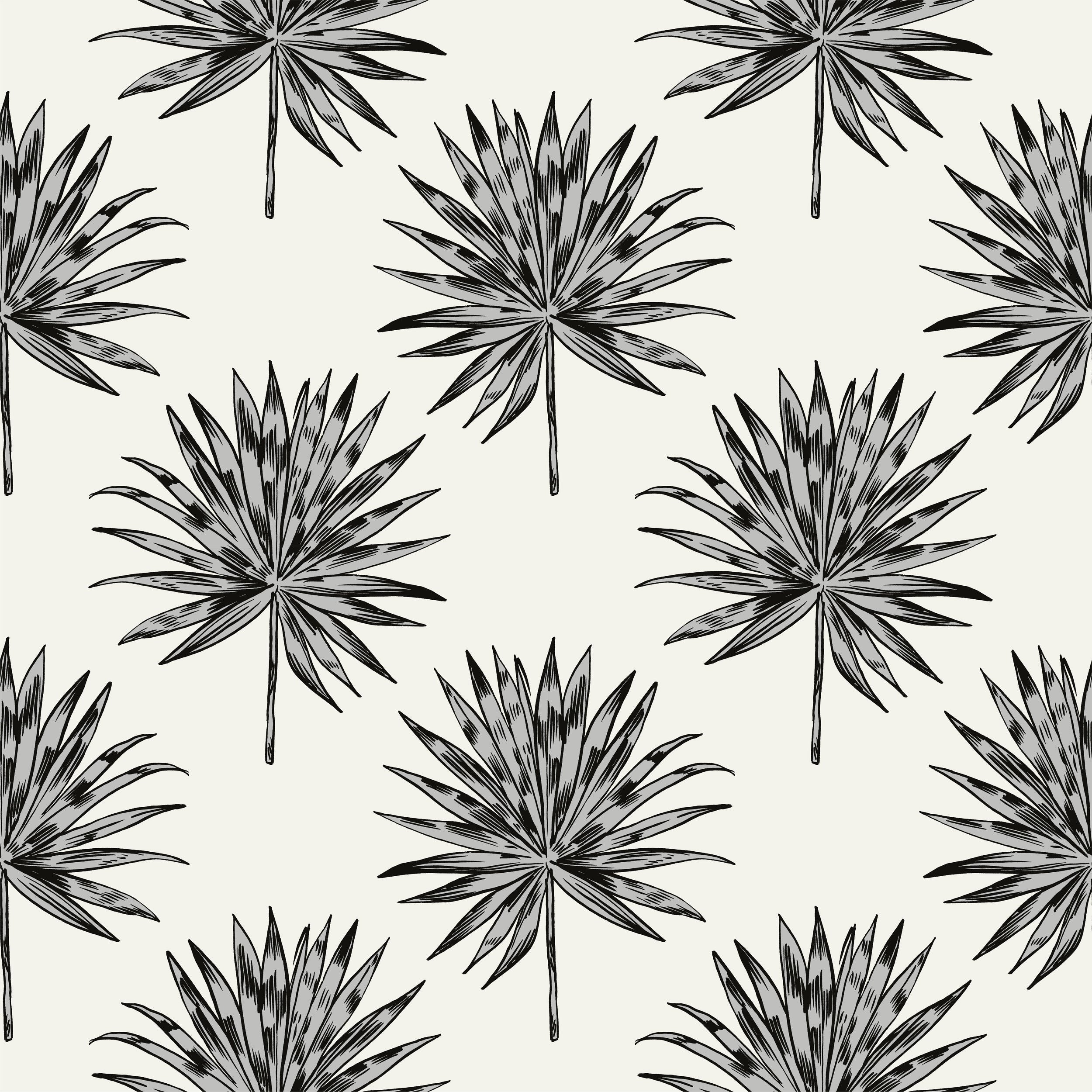 Palm Sketch