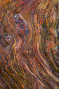 Molten Timber