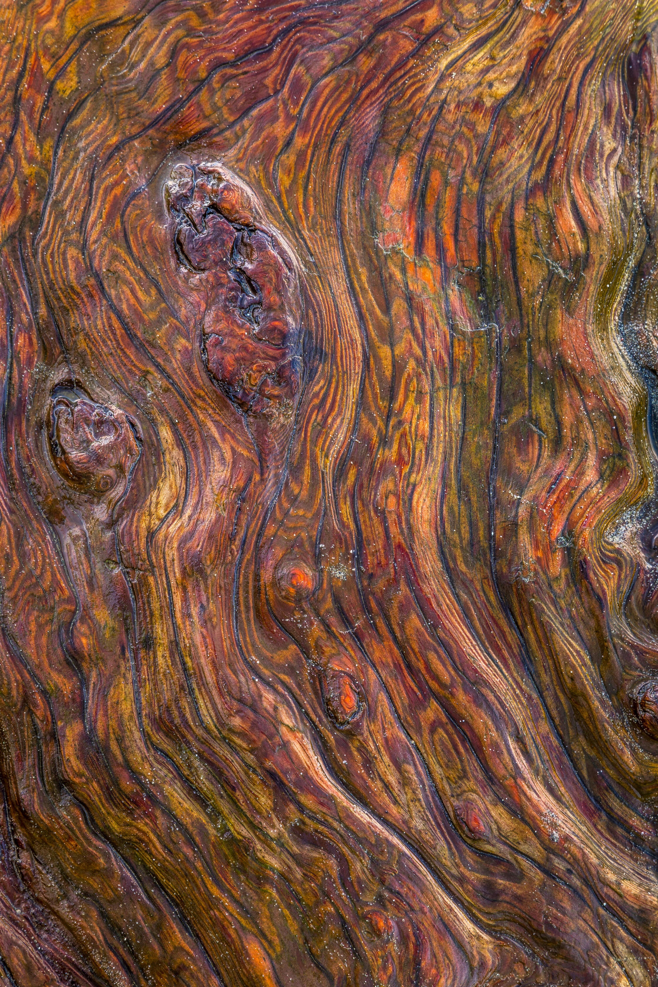 Molten Timber