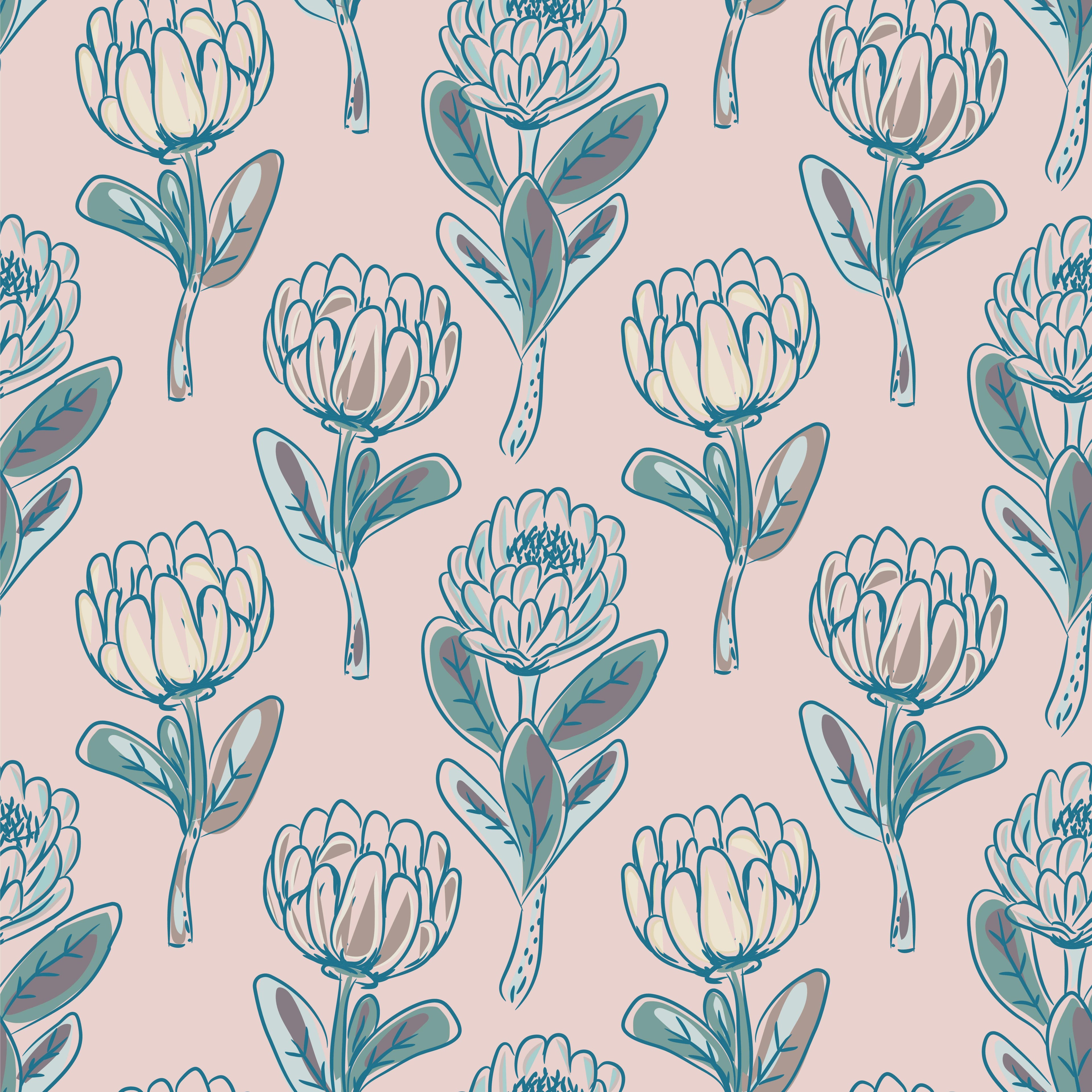 Blush Protea