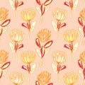 Golden Protea