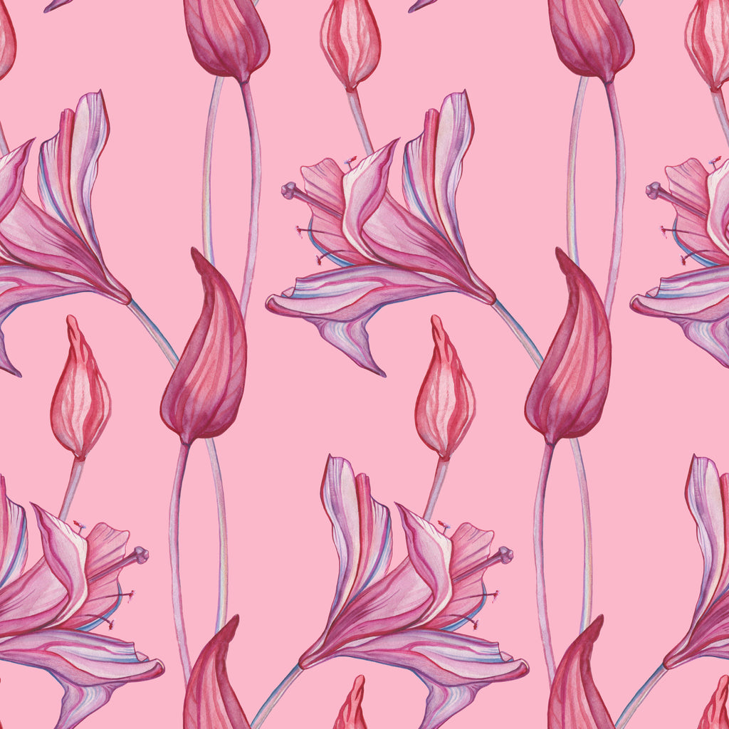 Blush Lilies, peel and stick wallpaper, elegant lily blossoms and slender buds repeat across a soft pink background