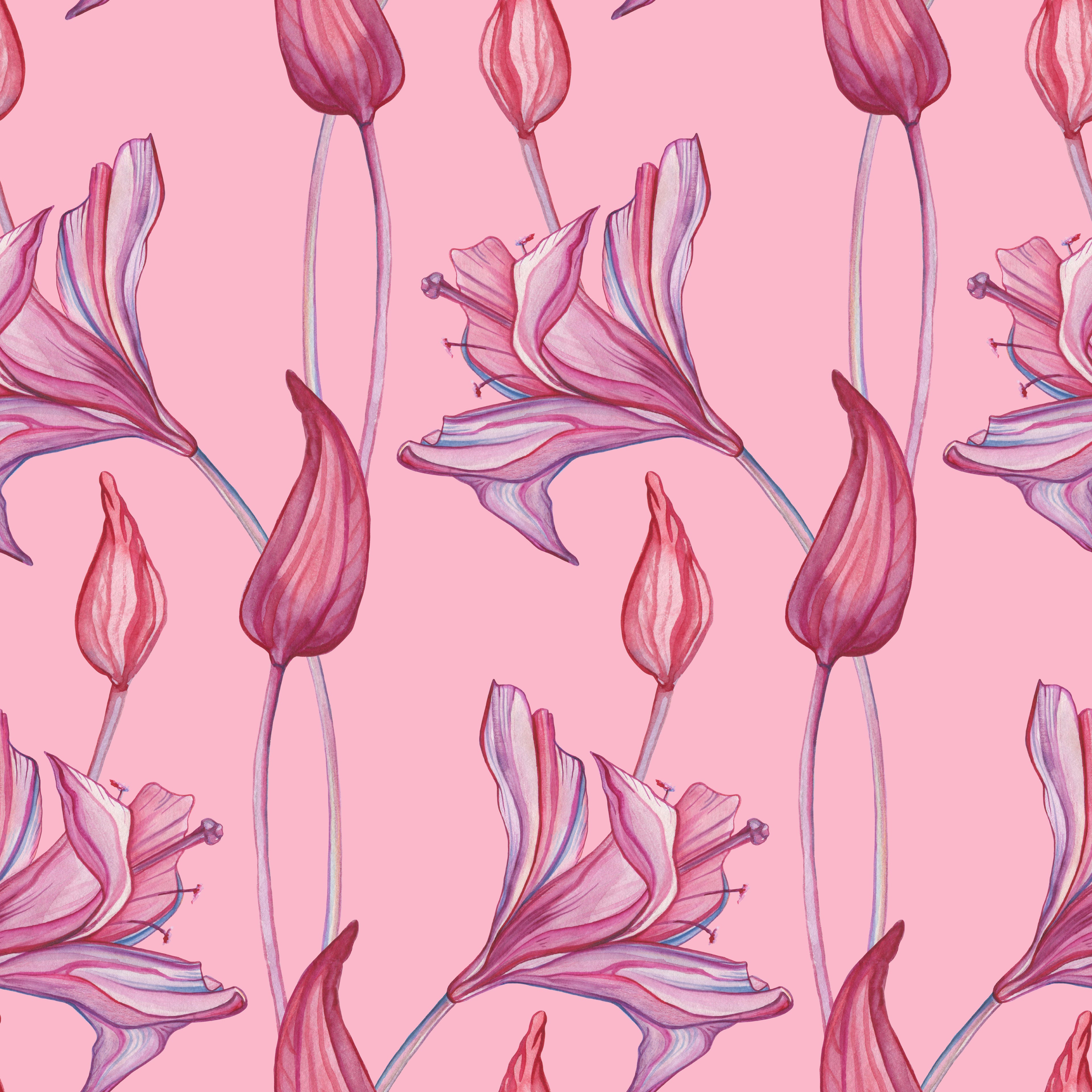 Blush Lilies