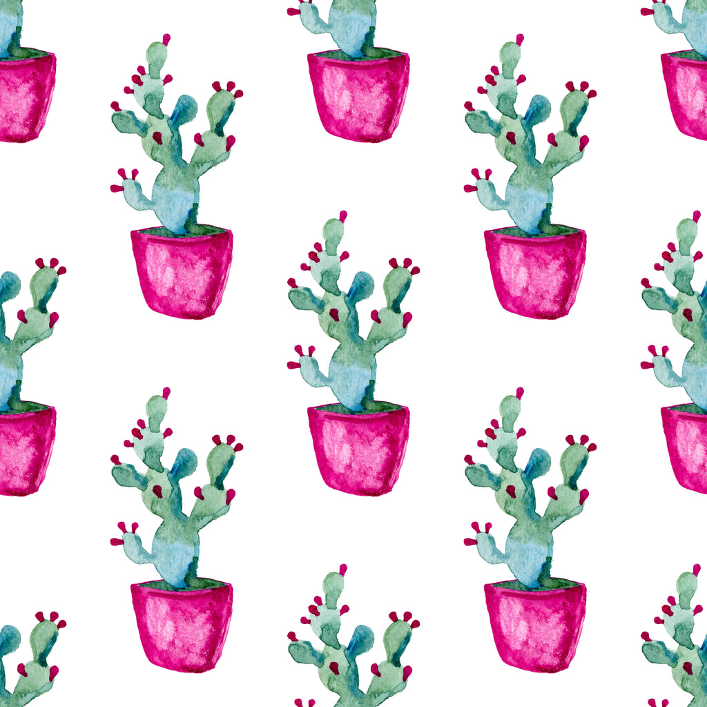 Desert Pots, peel and stick wallpaper, playful watercolor cacti in bright pots bring lively desert charm to modern