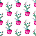 Desert Pots