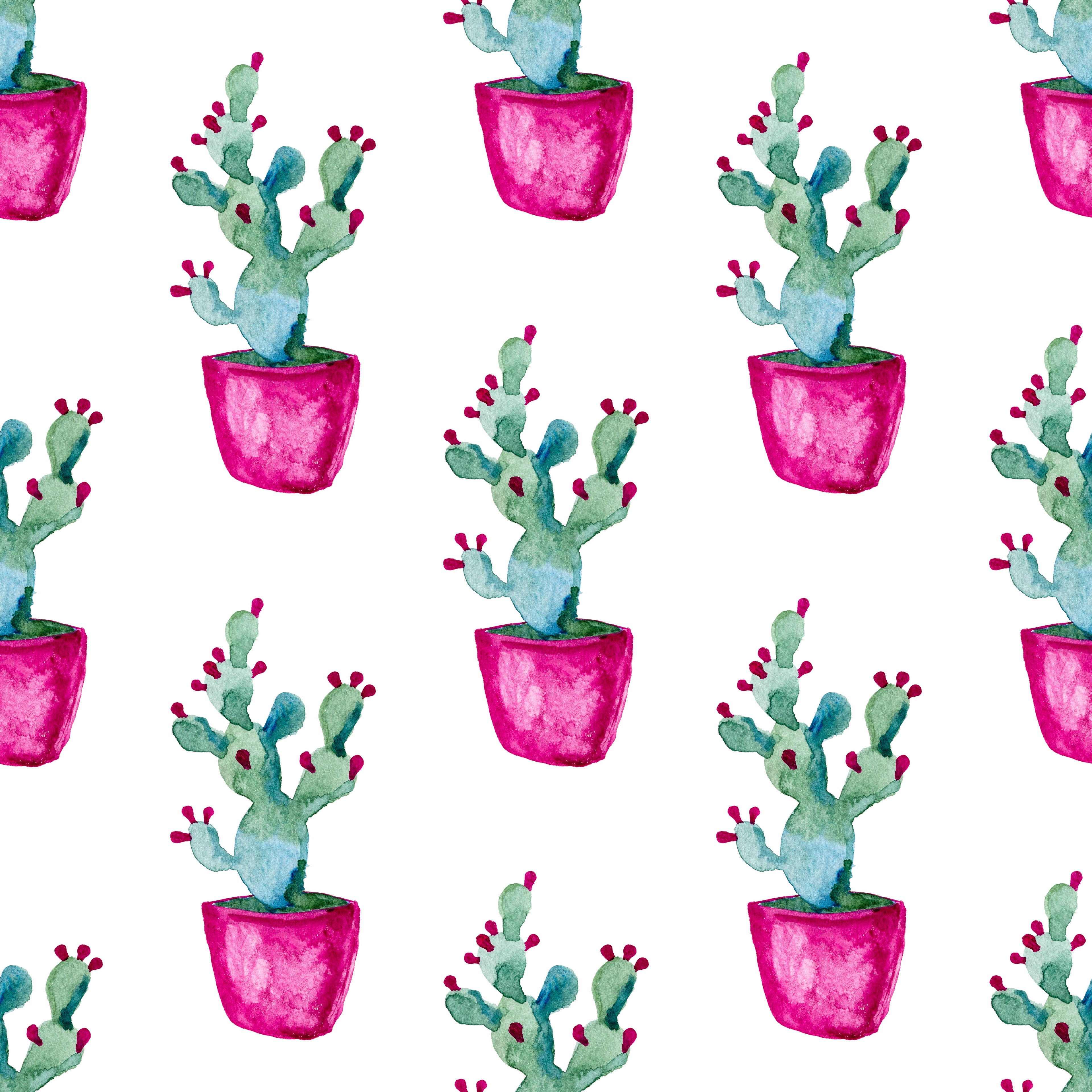 Desert Pots