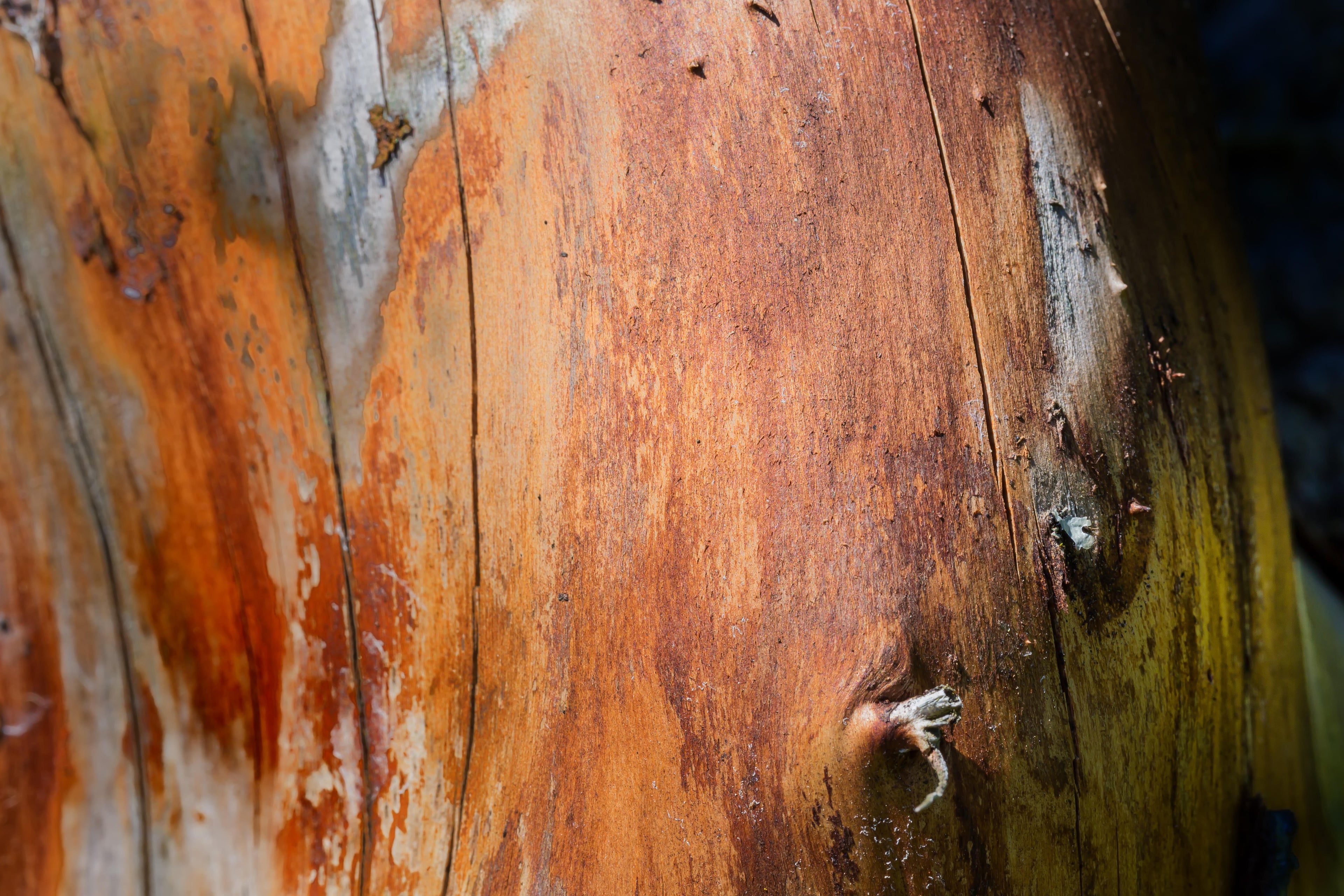 Aged Timber