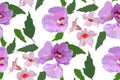 Orchid Scatter