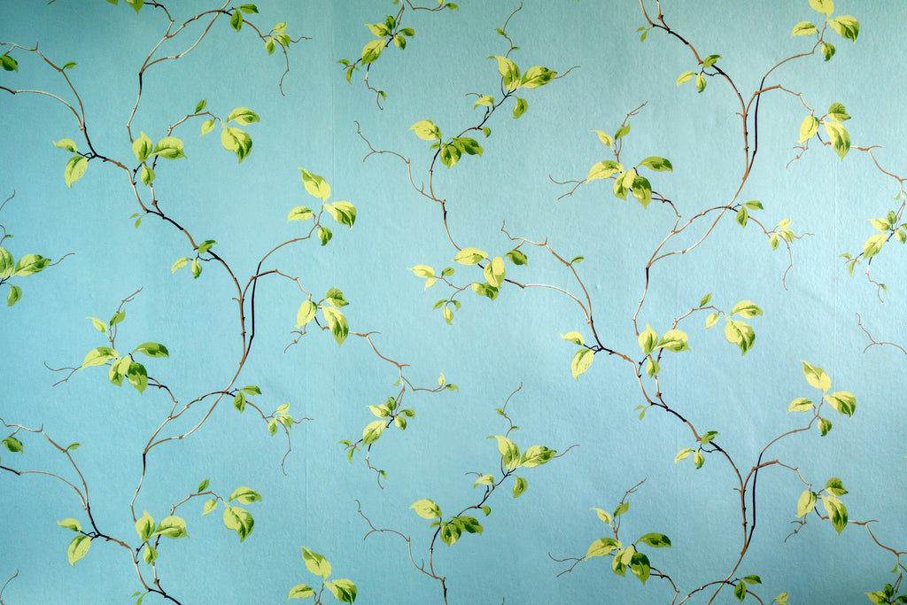 Willow Breeze, peel and stick wallpaper, delicate vine branches with fresh green leaves stretch across a soft sky blue