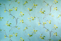 Willow Breeze