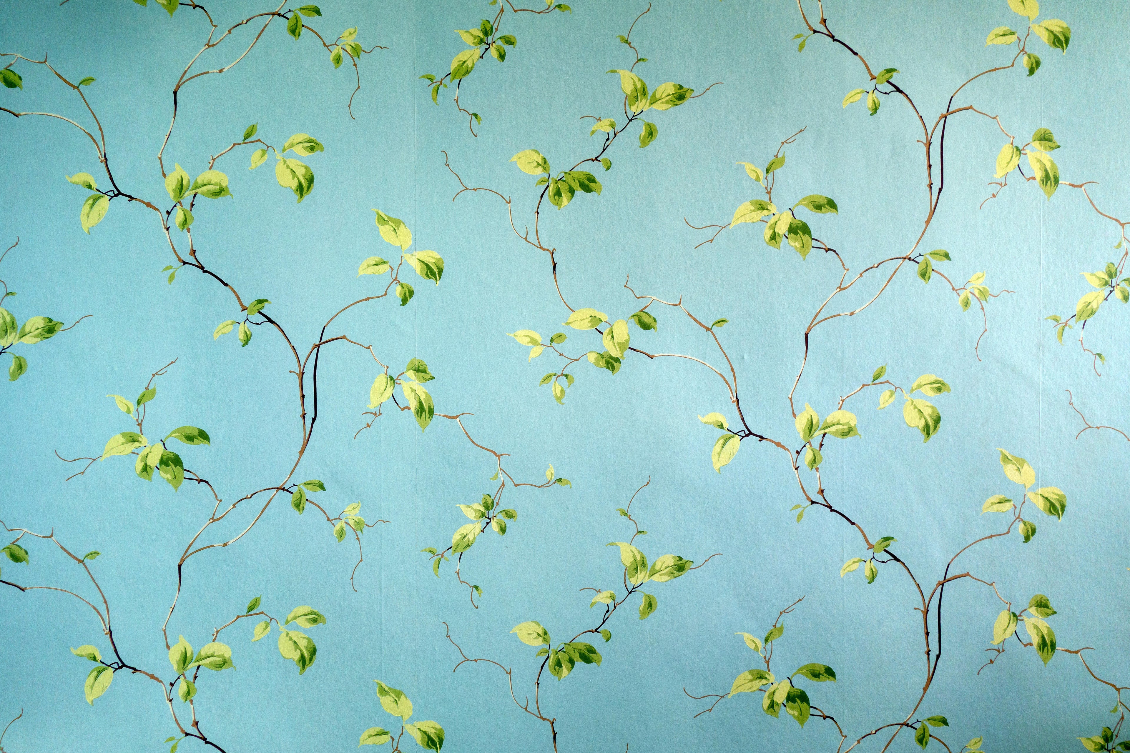 Willow Breeze