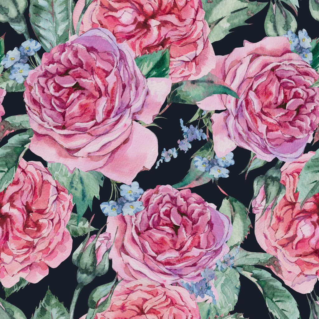 Midnight Roses, peel and stick wallpaper, large watercolor roses in layered pink tones bloom across a deep midnight