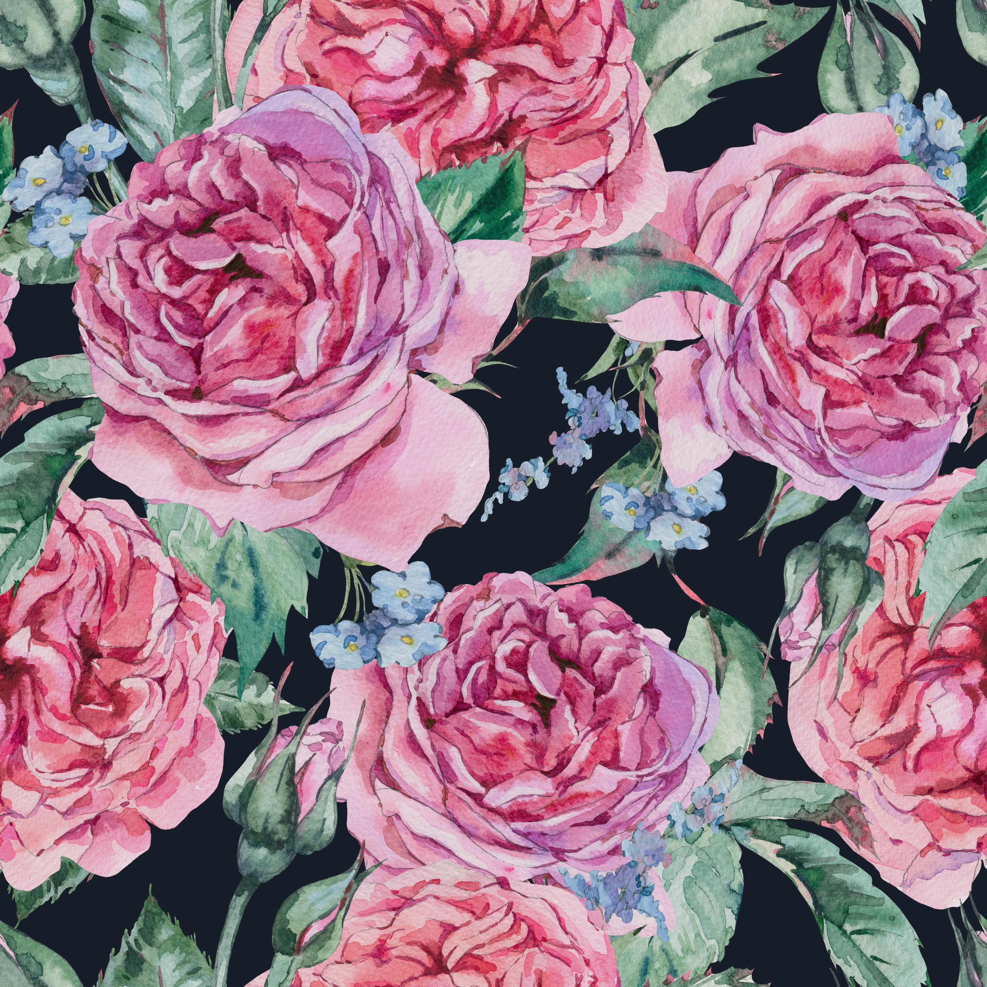Midnight Roses