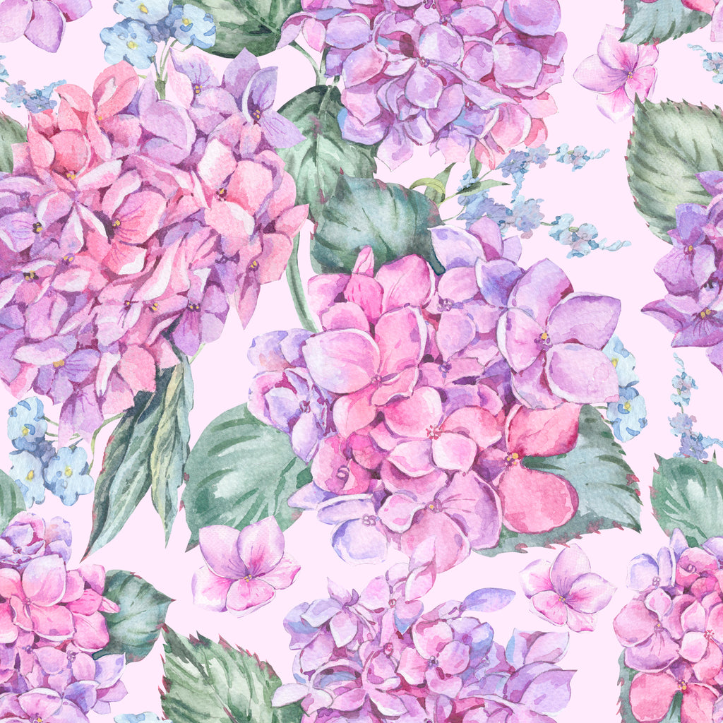 Blush Hydrangeas, peel and stick wallpaper, soft watercolor hydrangea blossoms in pink, lilac, and violet tones rest