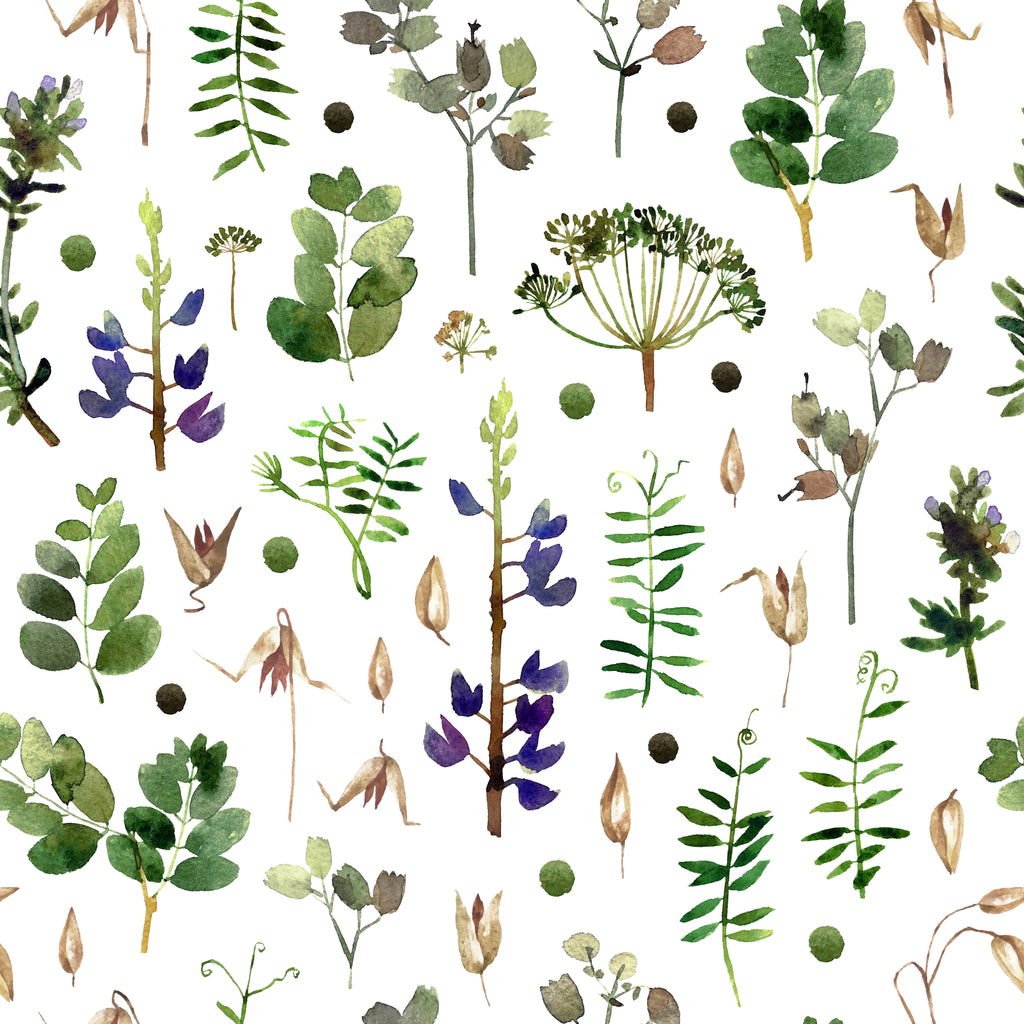 Botanical Study, peel and stick wallpaper, handpainted watercolor leaves, stems, and wild plant forms scatter