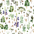 Botanical Study