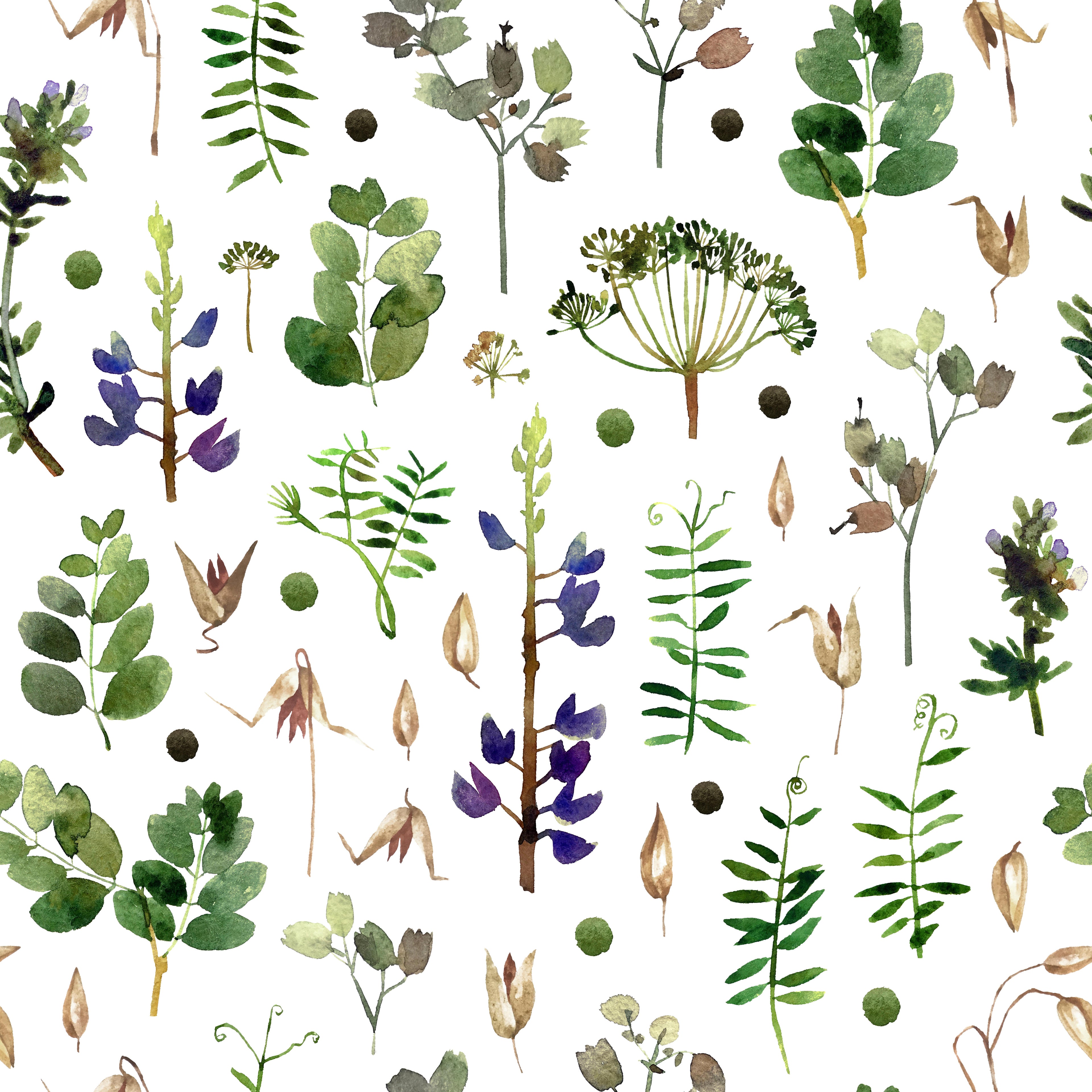 Botanical Study