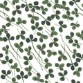 Clover Drift