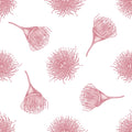 Rose Botanicals