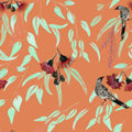 Silver Princess & Wattlebird Wallpaper – Peach