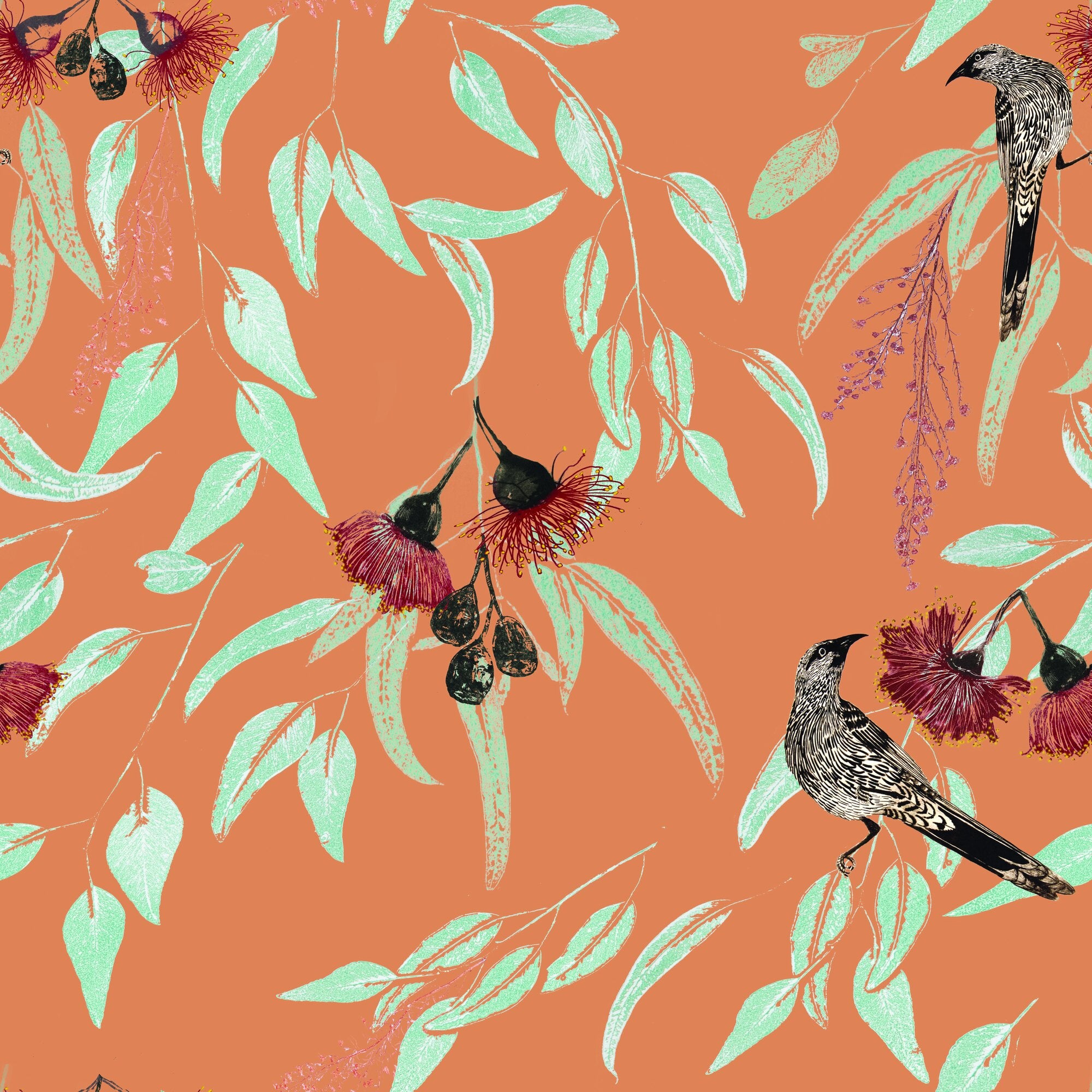 Silver Princess & Wattlebird Wallpaper – Peach