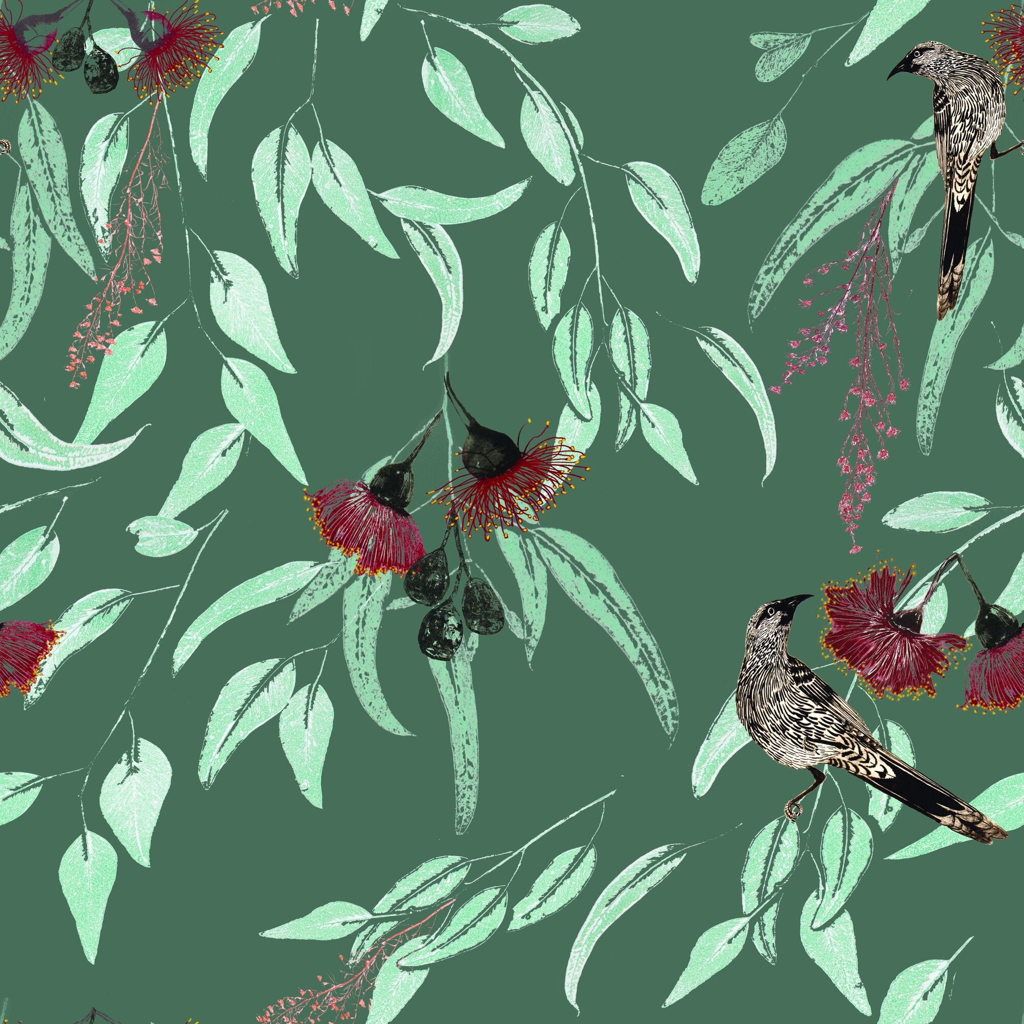 Silver Princess & Wattlebird Wallpaper – Sage
