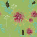 Vintage Banksias Wallpaper – Sage