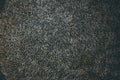 Forest Granite Wallpaper