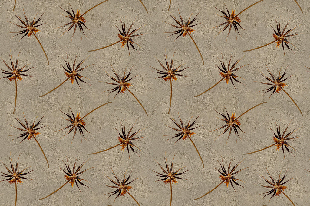 Dandelion Clock wallpaper with seed heads on taupe