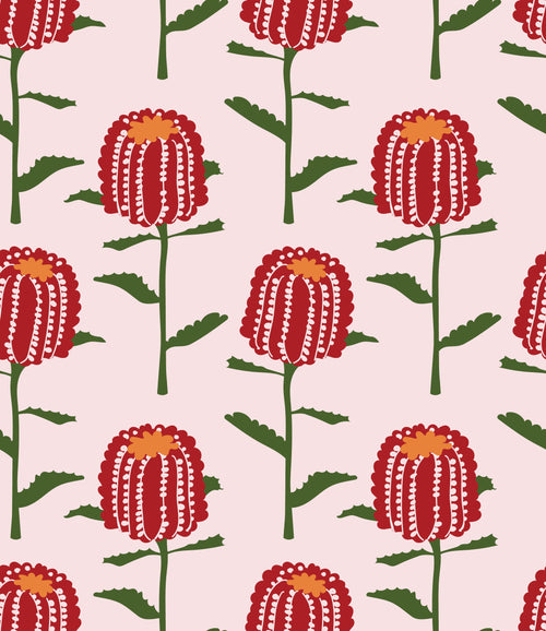 Banksia in Blush by Charlotte Brandis, peel and stick wallpaper