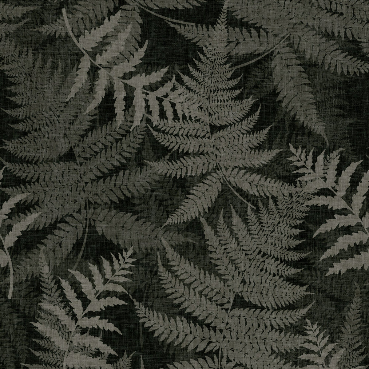 Fern Botanical in Almost Black by Sarah Thorpe, peel and stick wallpaper