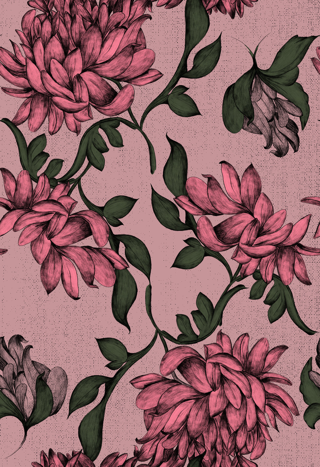 Heritage Peony in Antique Pink by Cat Bellini, peel and stick wallpaper
