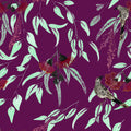 Silver Princess & Wattlebird by Trudy Rice — Garnet