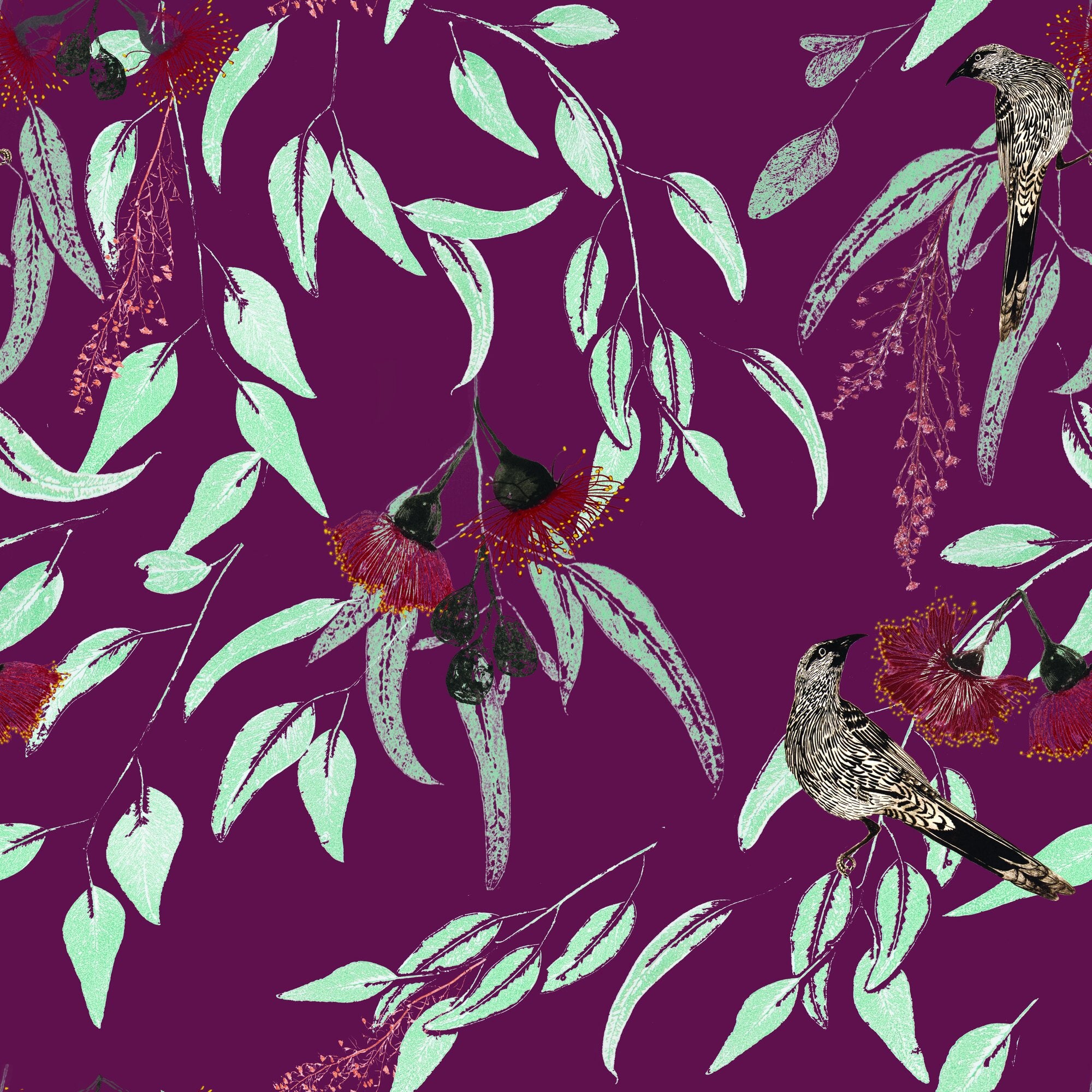 Silver Princess & Wattlebird by Trudy Rice — Garnet