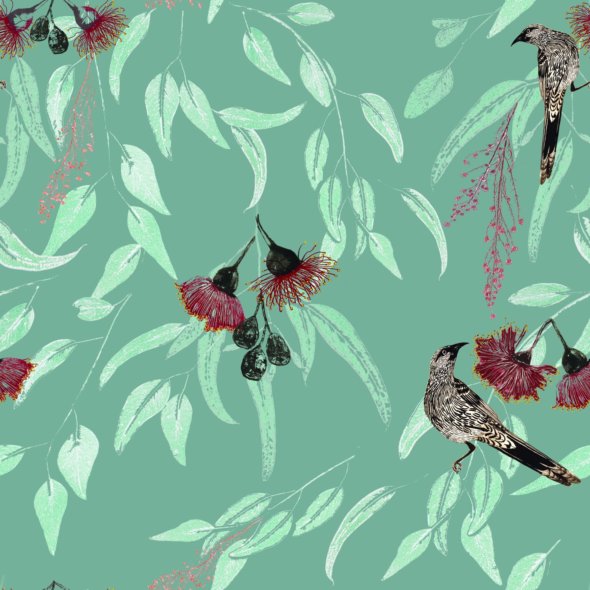 Silver Princess & Wattlebird by Trudy Rice — Grey Green