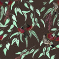 Silver Princess & Wattlebird by Trudy Rice — Mocha