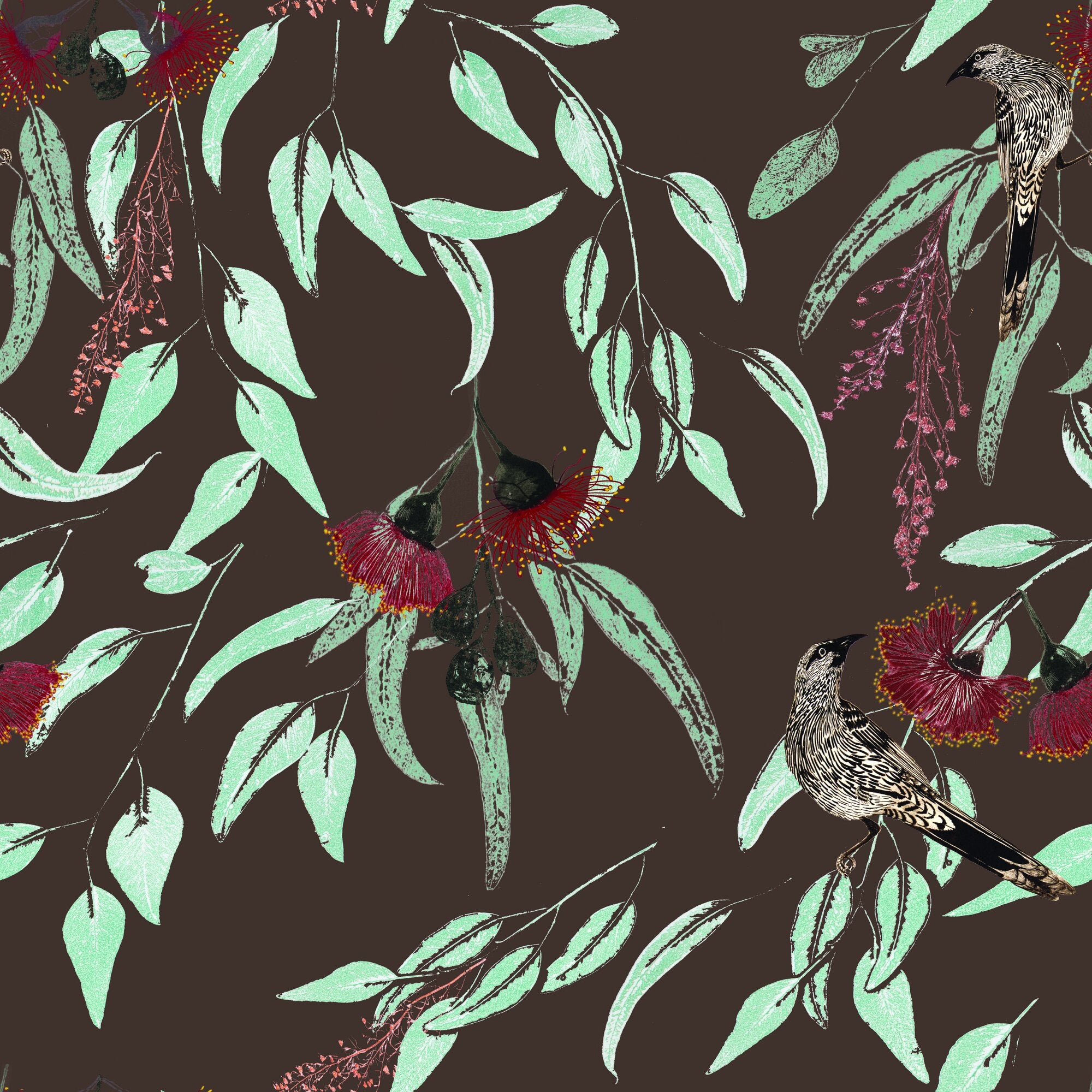 Silver Princess & Wattlebird by Trudy Rice — Mocha