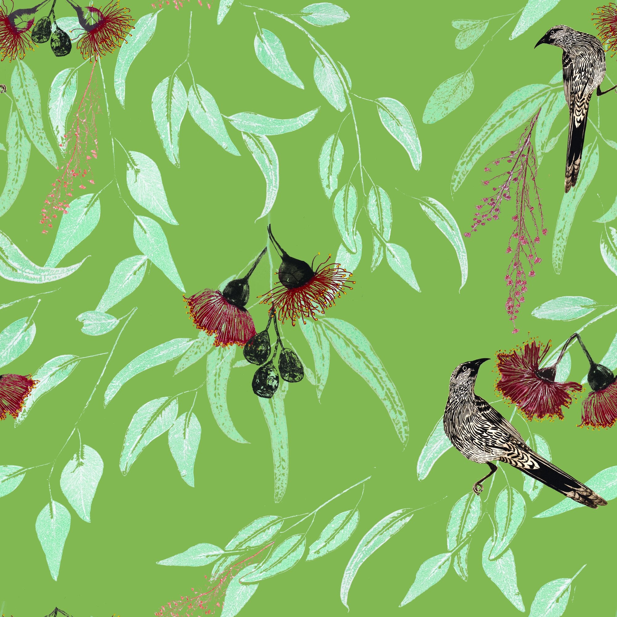 Silver Princess & Wattlebird by Trudy Rice — Olive