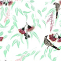 Silver Princess & Wattlebird by Trudy Rice — White