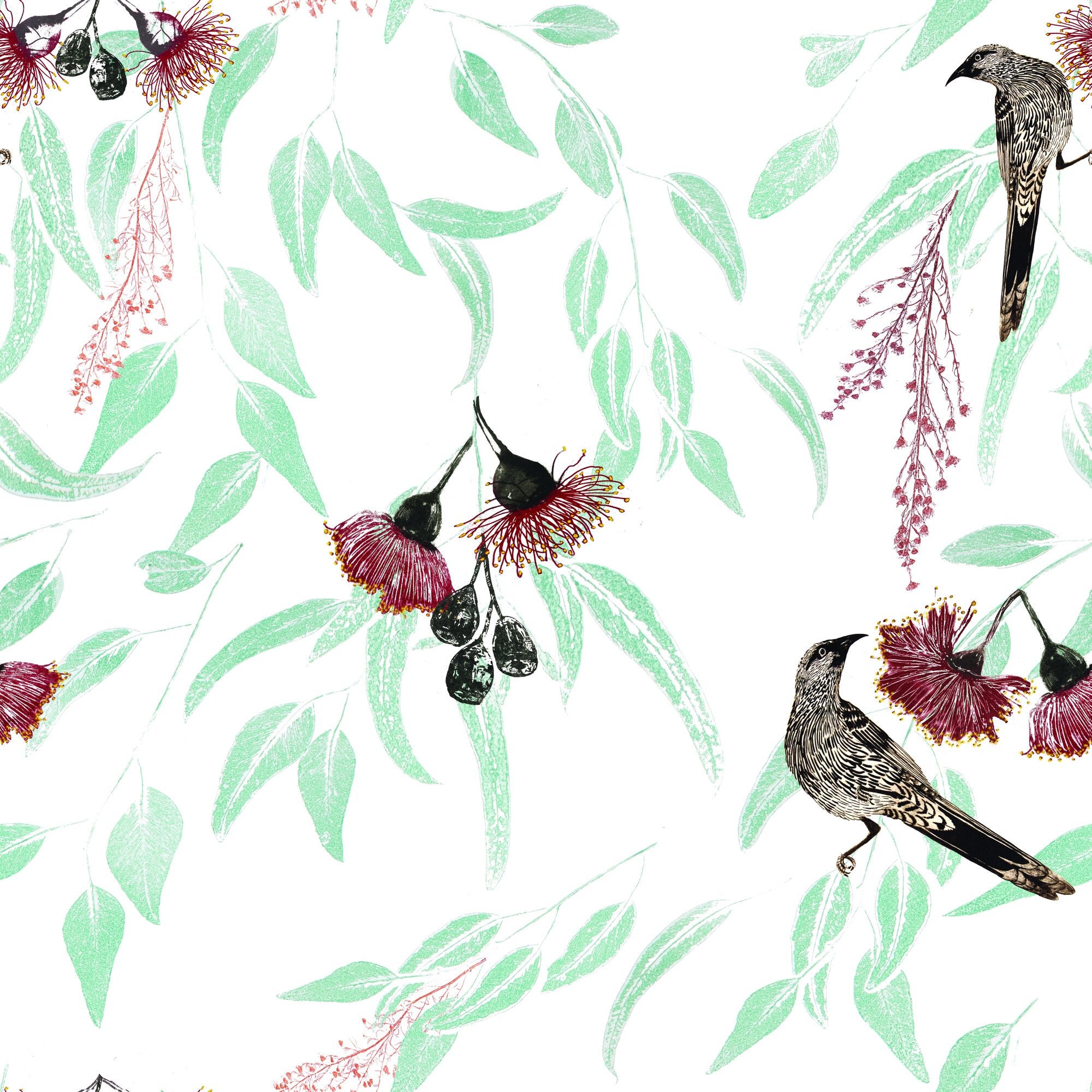 Silver Princess & Wattlebird by Trudy Rice — White