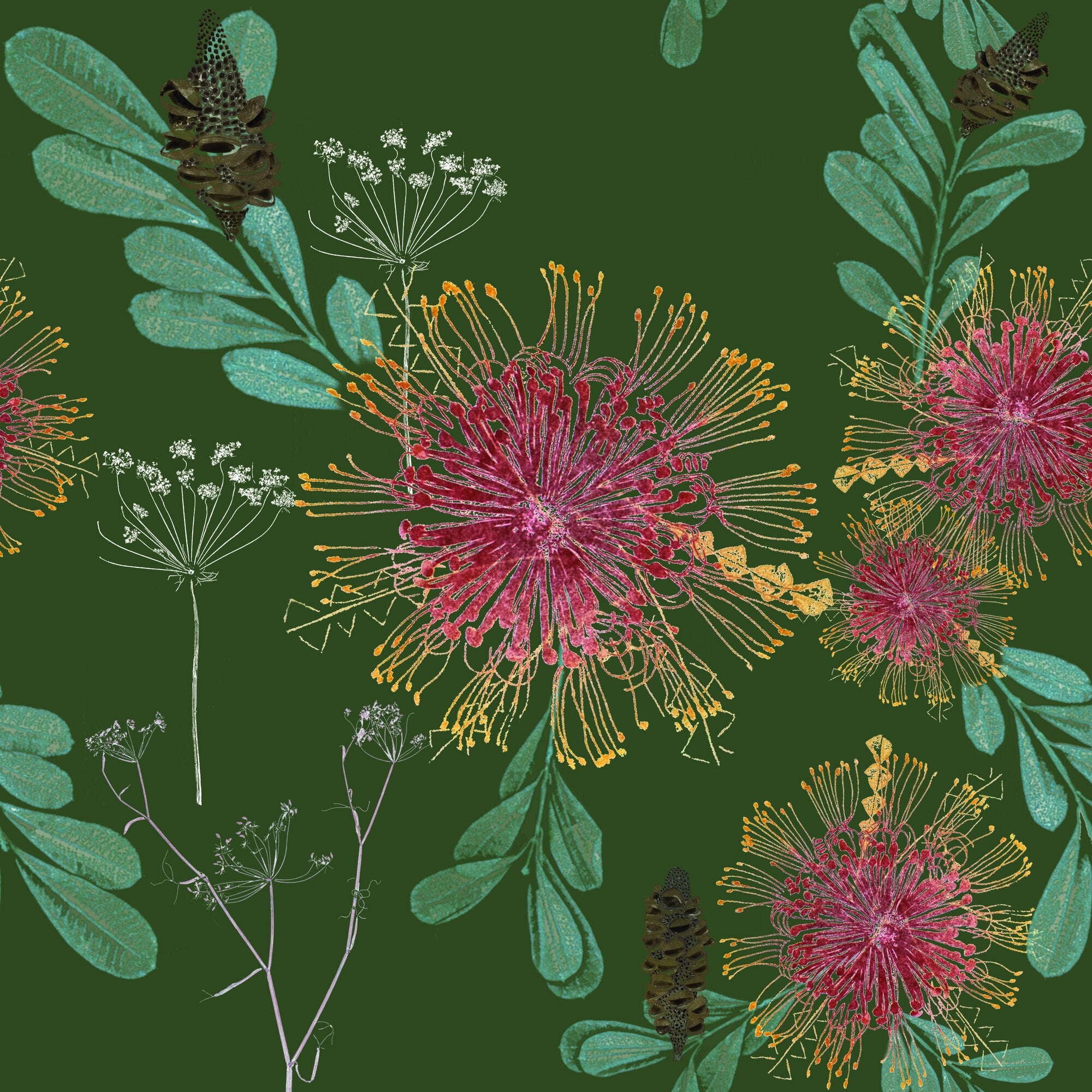 Vintage Banksias by Trudy Rice — Forest