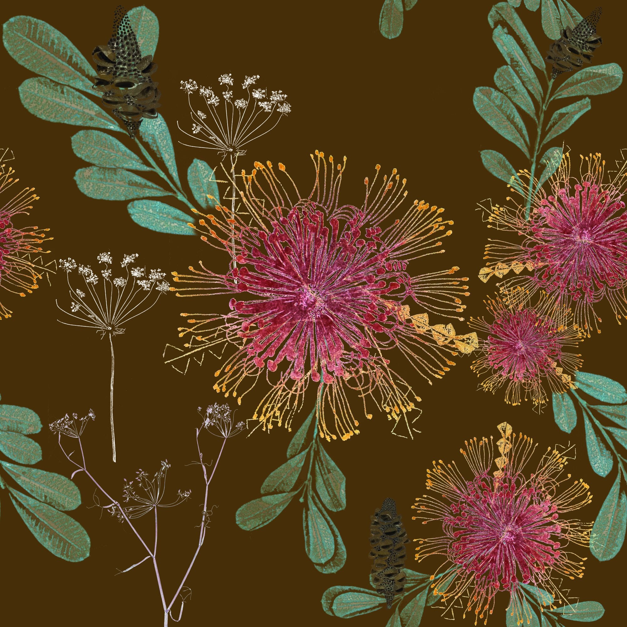 Vintage Banksias by Trudy Rice — Sepia